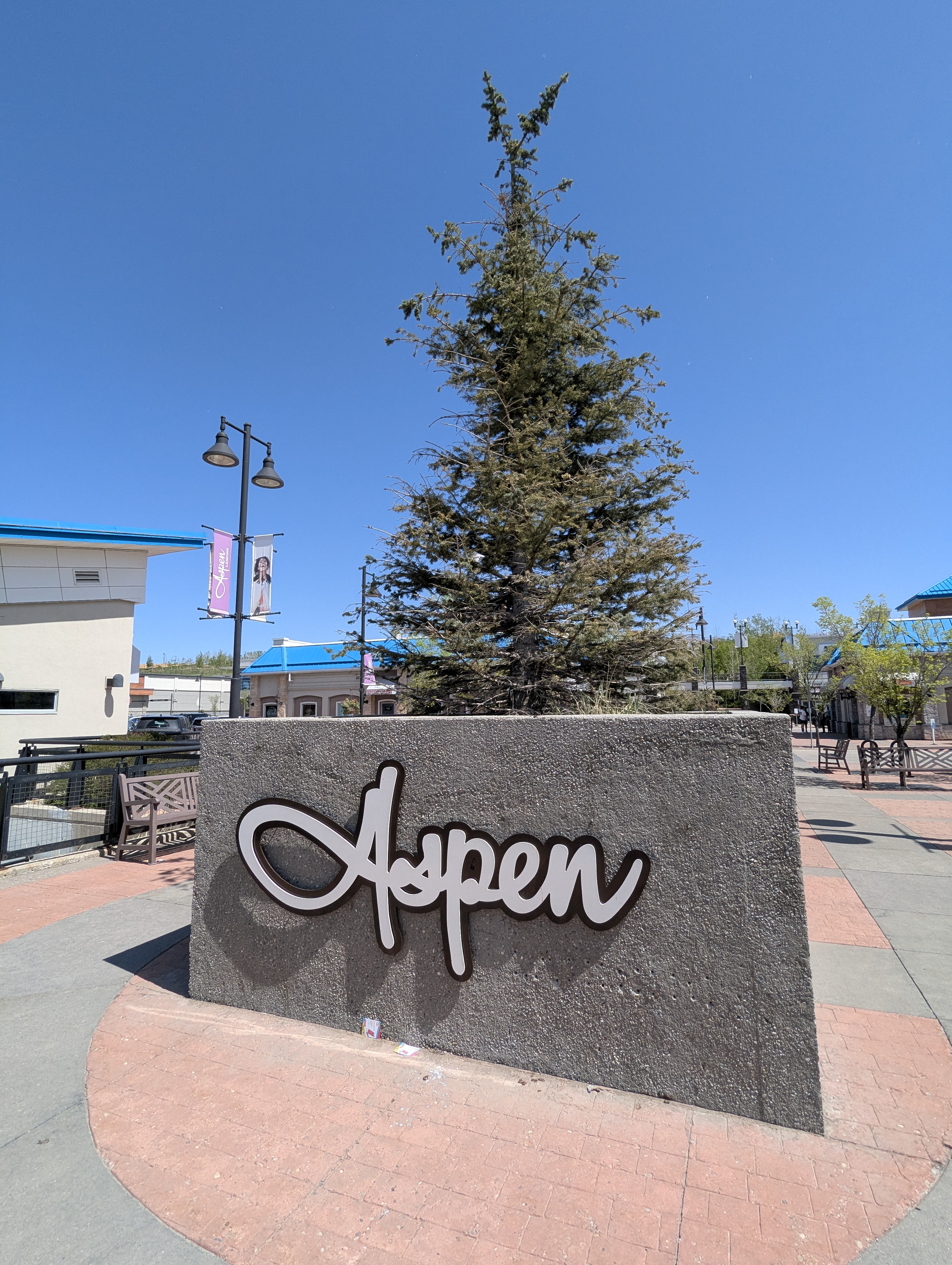 Birthday Trip to Canada, Calgary